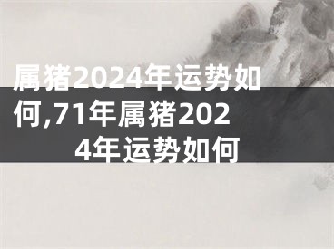 属猪2024年运势如何,71年属猪2024年运势如何