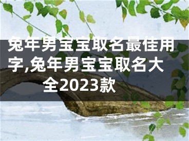兔年男宝宝取名最佳用字,兔年男宝宝取名大全2023款