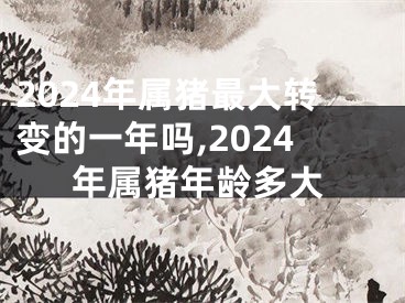 2024年属猪最大转变的一年吗,2024年属猪年龄多大