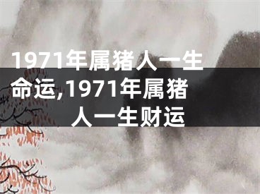 1971年属猪人一生命运,1971年属猪人一生财运