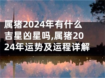 属猪2024年有什么吉星凶星吗,属猪2024年运势及运程详解