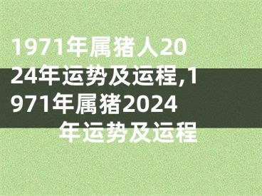 1971年属猪人2024年运势及运程,1971年属猪2024年运势及运程