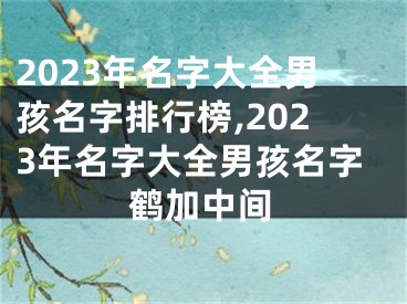 2023年名字大全男孩名字排行榜,2023年名字大全男孩名字鹤加中间