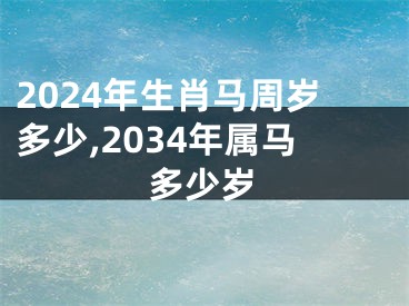 2024年生肖马周岁多少,2034年属马多少岁