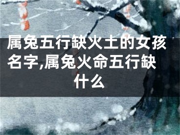 属兔五行缺火土的女孩名字,属兔火命五行缺什么