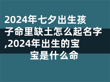2024年七夕出生孩子命里缺土怎么起名字,2024年出生的宝宝是什么命