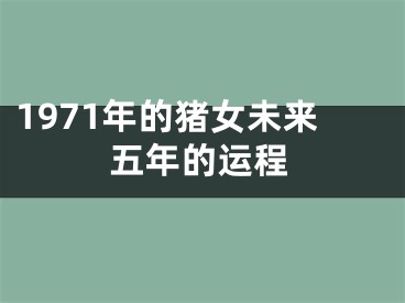 1971年的猪女未来五年的运程