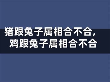 猪跟兔子属相合不合,鸡跟兔子属相合不合