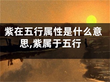 紫在五行属性是什么意思,紫属于五行