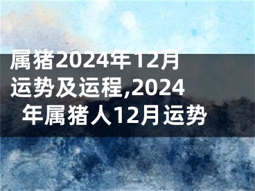 属猪2024年12月运势及运程,2024年属猪人12月运势