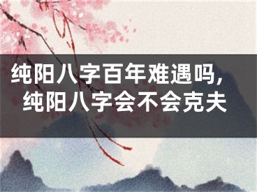 纯阳八字百年难遇吗,纯阳八字会不会克夫