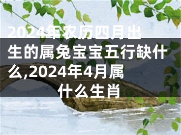 2024年农历四月出生的属兔宝宝五行缺什么,2024年4月属什么生肖