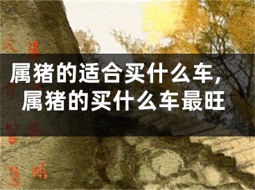 属猪的适合买什么车,属猪的买什么车最旺