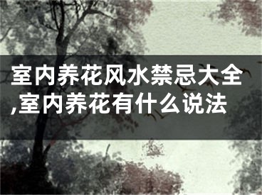 室内养花风水禁忌大全,室内养花有什么说法