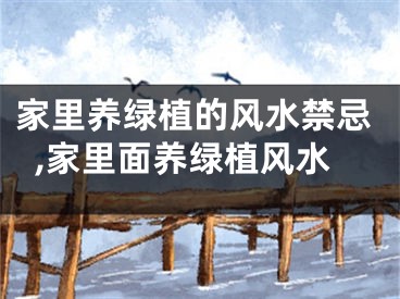 家里养绿植的风水禁忌,家里面养绿植风水