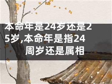 本命年是24岁还是25岁,本命年是指24周岁还是属相