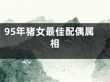95年猪女最佳配偶属相