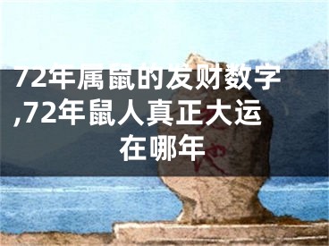 72年属鼠的发财数字,72年鼠人真正大运在哪年