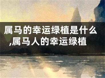 属马的幸运绿植是什么,属马人的幸运绿植