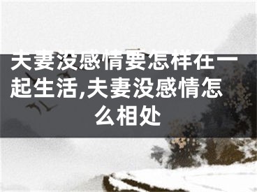 夫妻没感情要怎样在一起生活,夫妻没感情怎么相处