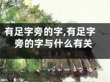 有足字旁的字,有足字旁的字与什么有关