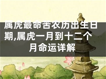 属虎最命苦农历出生日期,属虎一月到十二个月命运详解