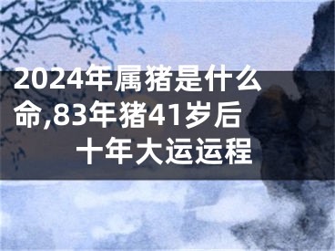 2024年属猪是什么命,83年猪41岁后十年大运运程