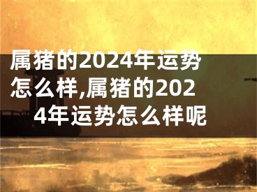 属猪的2024年运势怎么样,属猪的2024年运势怎么样呢