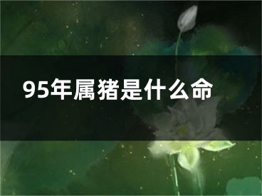 95年属猪是什么命