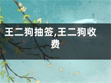 王二狗抽签,王二狗收费