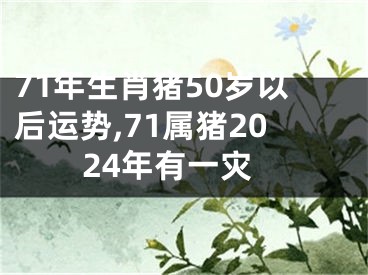 71年生肖猪50岁以后运势,71属猪2024年有一灾