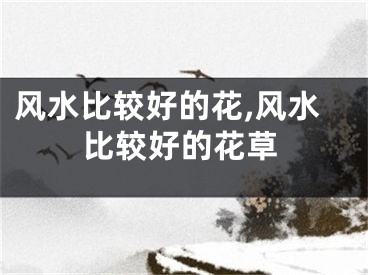风水比较好的花,风水比较好的花草