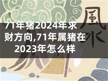 71年猪2024年求财方向,71年属猪在2023年怎么样