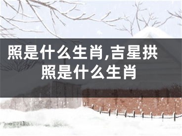 照是什么生肖,吉星拱照是什么生肖