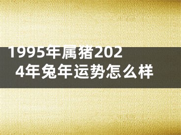 1995年属猪2024年兔年运势怎么样