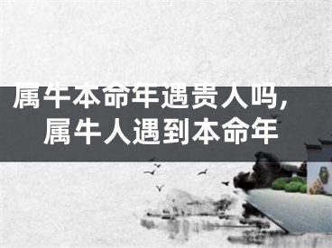 属牛本命年遇贵人吗,属牛人遇到本命年
