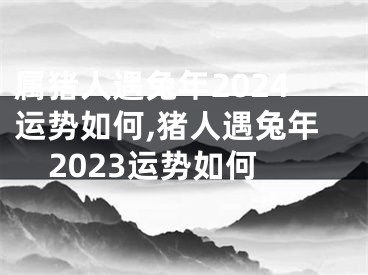 属猪人遇兔年2024运势如何,猪人遇兔年2023运势如何