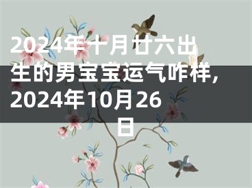 2024年十月廿六出生的男宝宝运气咋样,2024年10月26日