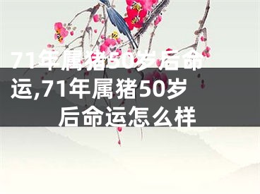 71年属猪50岁后命运,71年属猪50岁后命运怎么样