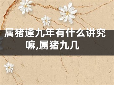 属猪逢九年有什么讲究嘛,属猪九几