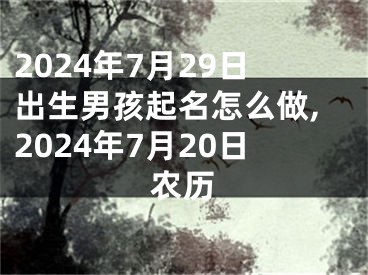 2024年7月29日出生男孩起名怎么做,2024年7月20日农历