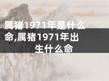 属猪1971年是什么命,属猪1971年出生什么命