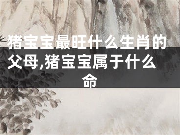 猪宝宝最旺什么生肖的父母,猪宝宝属于什么命