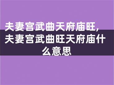 夫妻宫武曲天府庙旺,夫妻宫武曲旺天府庙什么意思