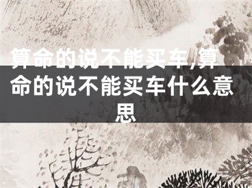 算命的说不能买车,算命的说不能买车什么意思