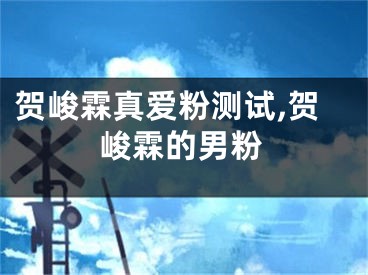 贺峻霖真爱粉测试,贺峻霖的男粉