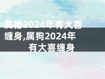 属猪2024年有大喜缠身,属狗2024年有大喜缠身