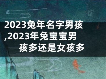 2023兔年名字男孩,2023年兔宝宝男孩多还是女孩多