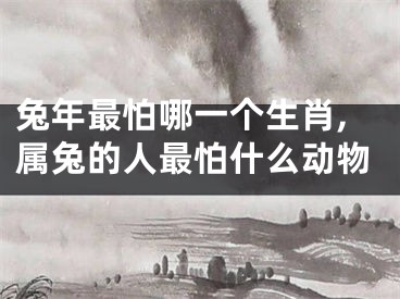 兔年最怕哪一个生肖,属兔的人最怕什么动物