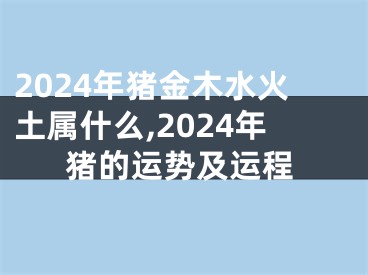 2024年猪金木水火土属什么,2024年猪的运势及运程